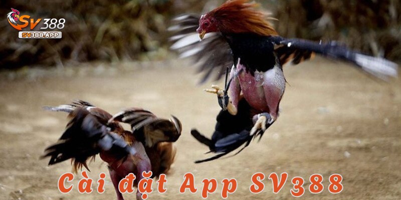 Cài đặt App SV388 cực dễ dàng trên mọi thiết bị hiện có