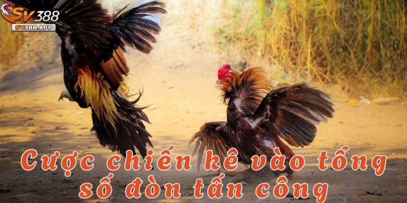 Một hình thức cược đặc biệt trong đá gà đòn SV388 là dự đoán tổng số đòn
