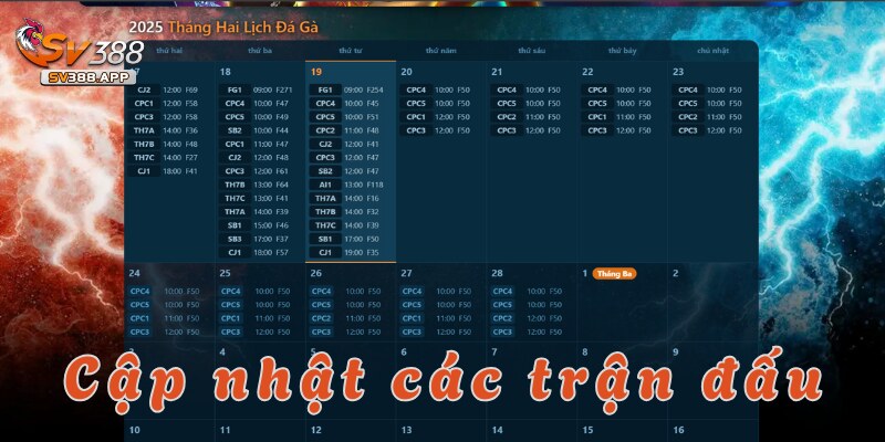 Đá gà Thomo SV388 – Trải nghiệm kịch tính và hấp dẫn 4 Những điểm cộng khiến nhiều người chơi tham gia đá gà thomo tại SV388