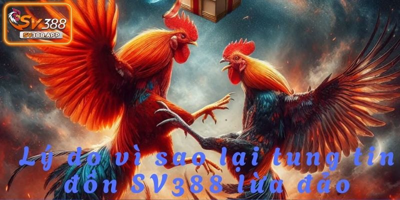 SV388 Lừa Đảo: Sự Thật Phía Sau Những Tin Đồn Sai Lệch 4 88 lừa đảo nhằm làm giảm sự tin tưởng của người chơi đối với nhà cái