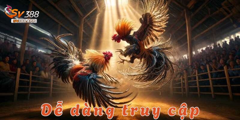 App SV388 có an toàn không? Những điều người chơi cần biết 2 Tải app SV388 để được trải nghiệm cá cược trực tuyến mọi lúc mọi nơi