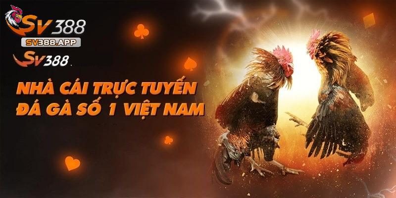 Hoàng Minh Khánh còn chú trọng nâng cao chất lượng dịch vụ của SV388