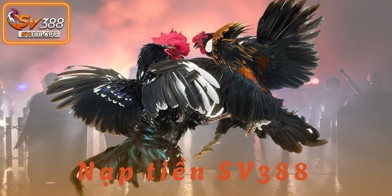 Nạp Tiền SV388: Phương Thức Giao Dịch Đơn Giản Và Tiện Ích 1 Nạp tiền SV388 là một bước quan trọng giúp người chơi tận hưởng trải nghiệm
