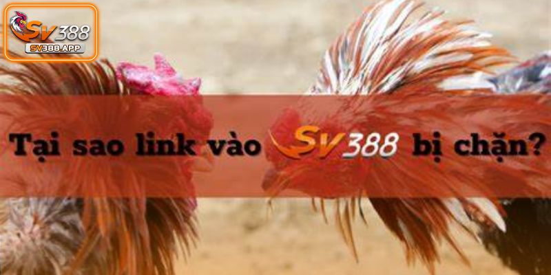SV388 Bị Chặn Hướng Dẫn Cách Khắc Phục Hiệu Quả Nhất 1 sv388 bị chặn