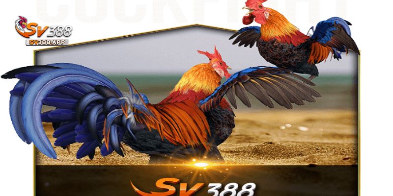 SV388 Bị Chặn Hướng Dẫn Cách Khắc Phục Hiệu Quả Nhất 3 Giải pháp khi gặp lỗi không truy cập được SV388 bị chặn