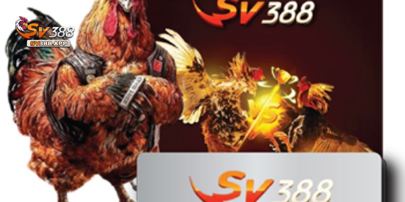 SV388 Bị Chặn Hướng Dẫn Cách Khắc Phục Hiệu Quả Nhất 5 Các điểm cần lưu ý khi SV388 không thể truy cập