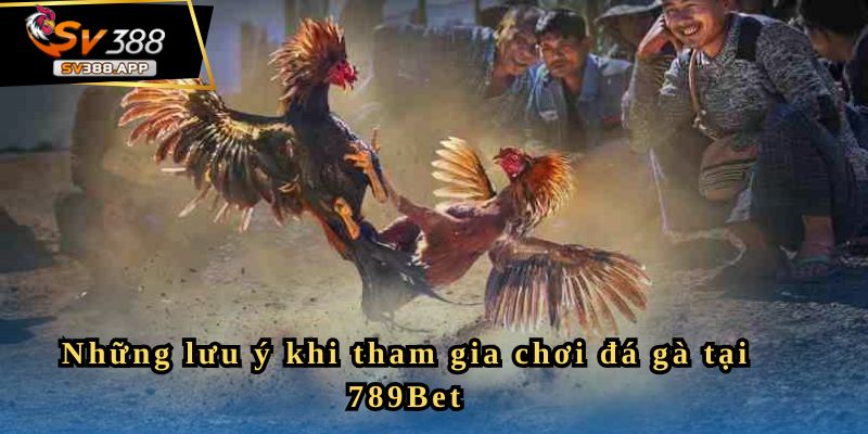 789Bet - Nền Tảng Đá Gà Uy Tín Dành Cho Người Yêu Thích 4 Những lưu ý khi tham gia chơi đá gà tại 789Bet