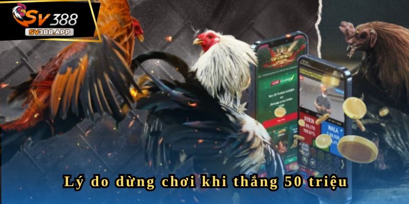 Hoangtuech - Tôi dừng chơi khi thu được hơn 50 triệu 7 Hoangtuech - Tôi dừng chơi khi thu được hơn 50 triệu