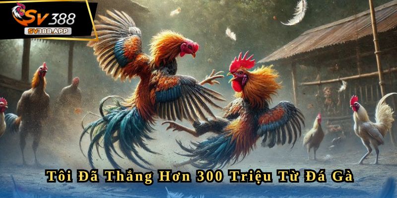 Bachcongtu - Tôi Đã Thắng Hơn 300 Triệu Trong 4 Ván Liên Tiếp 6 Bachcongtu - Tôi Đã Thắng Hơn 300 Triệu Trong 4 Ván Liên Tiếp