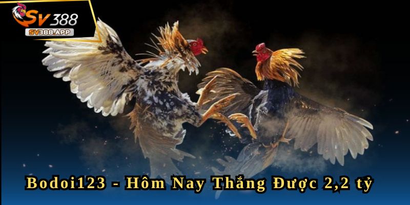 Bodoi123 - Hôm Nay Tôi Thắng Được 2,2 tỷ 9 Bodoi123 - Hôm Nay Tôi Thắng Được 2,2 tỷ