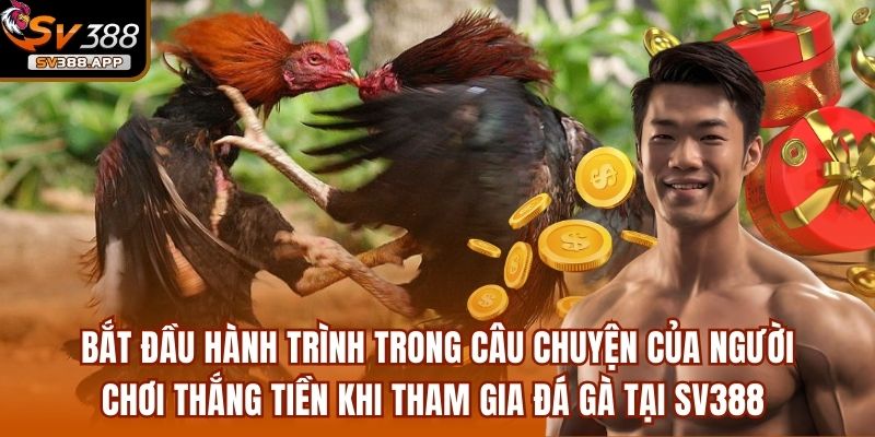 Hoangdaide38 - Chỉ Với 50 Triệu Thu Về 2 Tỷ Sau 1 Đêm 2 Bắt đầu hành trình trong câu chuyện của người chơi thắng tiền khi tham gia đá gà tại SV388