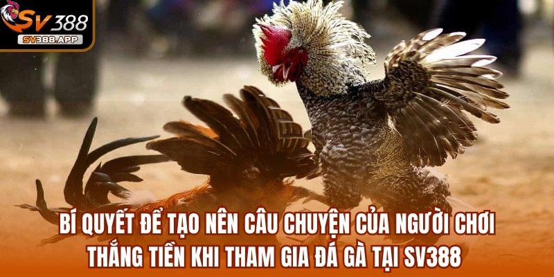 Hoangdaide38 - Chỉ Với 50 Triệu Thu Về 2 Tỷ Sau 1 Đêm 4 Bí quyết để tạo nên câu chuyện của người chơi thắng tiền khi tham gia đá gà tại SV388