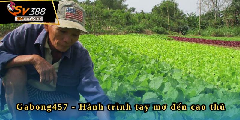 Gabong457 - Có Tý Gọi Là Khởi Đầu Thành Công 2 Lý do anh Tý chọn SV388