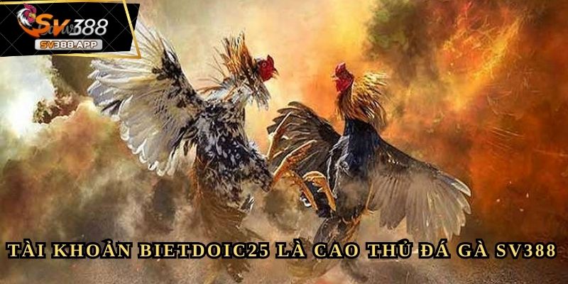 BietdoiC25 - Tôi Đã Thực Sự Kiếm Được 5 Triệu Mỗi Ngày 4 BietdoiC25 - Tôi Đã Thực Sự Kiếm Được 5 Triệu Mỗi Ngày