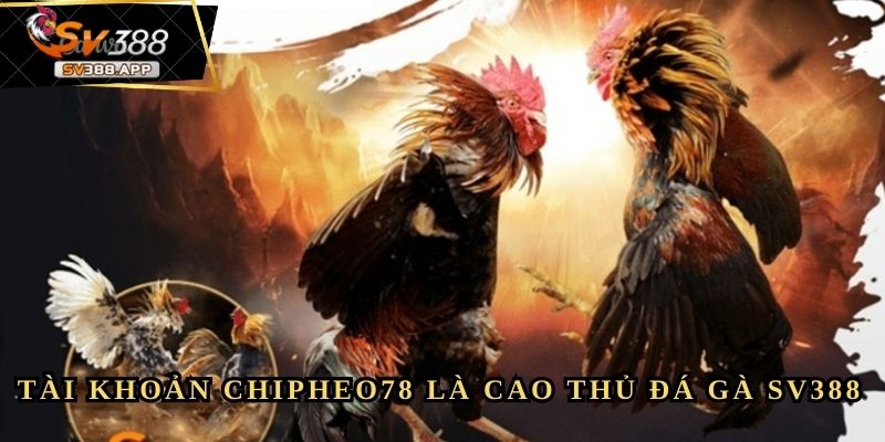 Chipheo78 - Từ Gã Tay Trắng Đến Nhà Lầu Xe Hơi 3 Chipheo78 - Từ Gã Tay Trắng Đến Nhà Lầu Xe Hơi