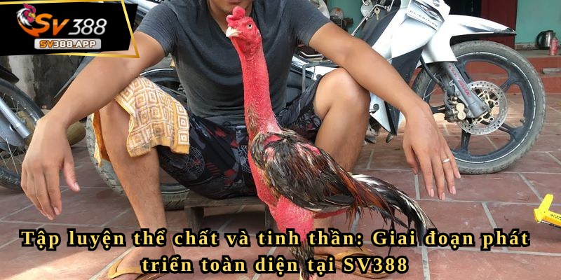 Tập luyện thể chất và tinh thần: Giai đoạn phát triển toàn diện tại SV388