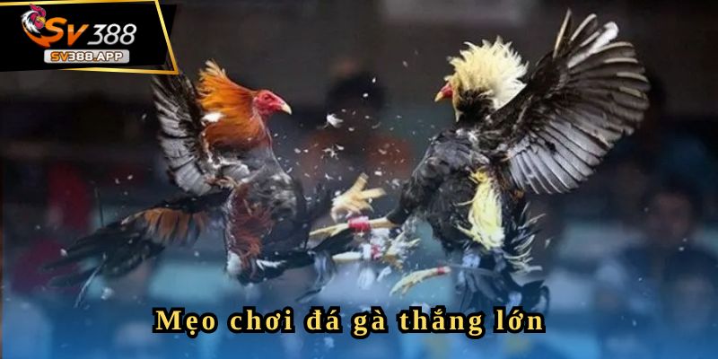 Bodoi123 - Hôm Nay Tôi Thắng Được 2,2 tỷ 4 Chia sẻ kinh nghiệm chơi