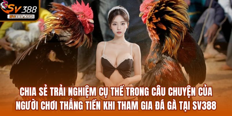 Ngulong9091 - Từ Trắng Tay Đến Kiếm 30 Triệu Mỗi Ngày 3 Chia sẻ trải nghiệm cụ thể trong câu chuyện của người chơi thắng tiền khi tham gia đá gà tại SV388