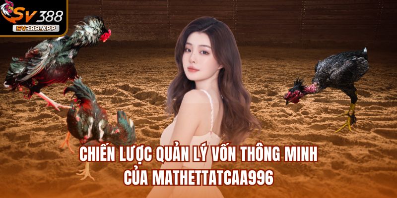 Chiến lược quản lý vốn thông minh của Mathettatcaa996