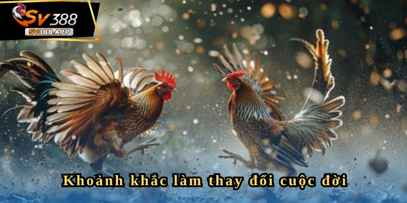 Diễn biến trận đấu thắng 300 triệu