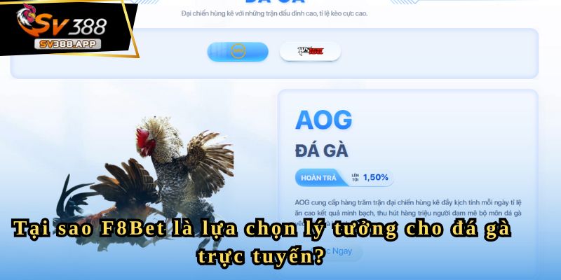 F8Bet - Nền Tảng Đá Gà Uy Tín Cho Người Yêu Thích Cá Cược 3 Tại sao F8Bet là lựa chọn lý tưởng cho đá gà trực tuyến?