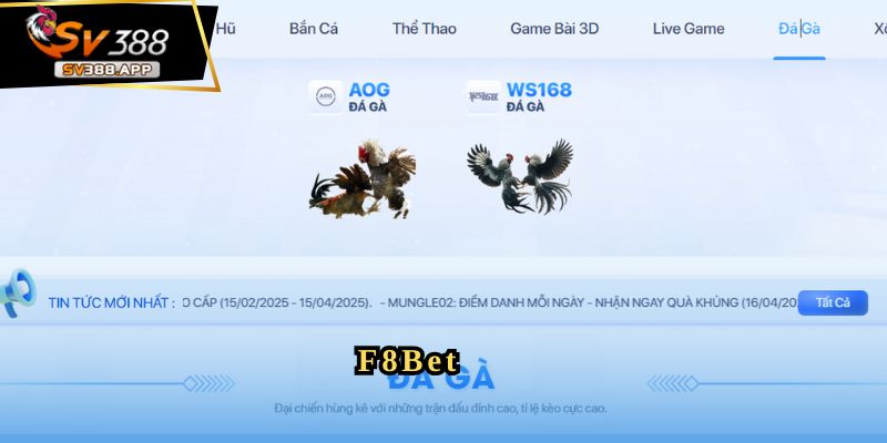 F8Bet - Nền Tảng Đá Gà Uy Tín Cho Người Yêu Thích Cá Cược 4 F8Bet - Nền Tảng Đá Gà Uy Tín Cho Người Yêu Thích Cá Cược