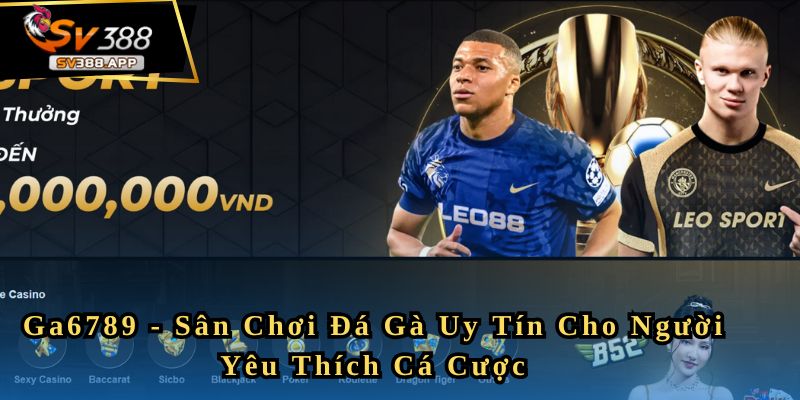 Ga6789 - Sân Chơi Đá Gà Uy Tín Cho Người Yêu Thích Cá Cược 1 Ga6789 - Sân Chơi Đá Gà Uy Tín Cho Người Yêu Thích Cá Cược