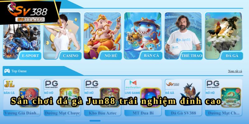 Sân chơi đá gà Jun88 trải nghiệm đỉnh cao