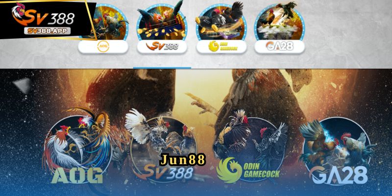 Jun88 – Trang Đá Gà Uy Tín Mang Đến Trải Nghiệm Tuyệt Vời 5 Jun88 – Trang Đá Gà Uy Tín Mang Đến Trải Nghiệm Tuyệt Vời