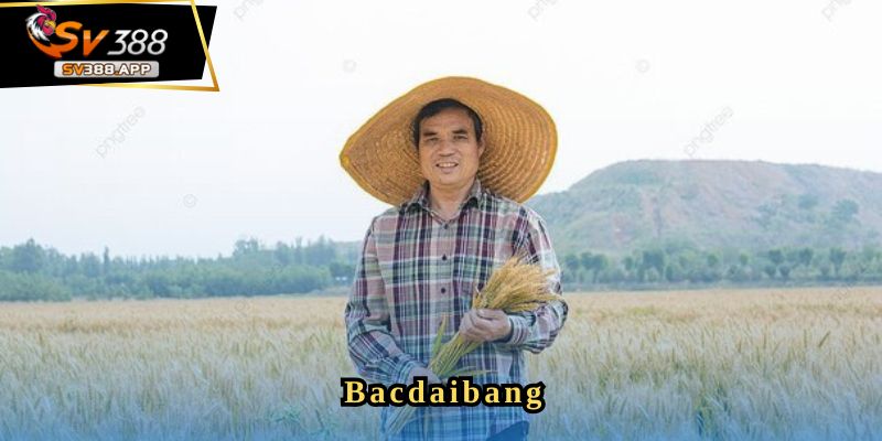 Khởi đầu với bộ môn đá gà