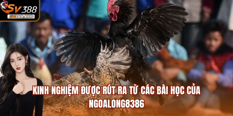 Người chơi Ngoalong8386 thắng lớn khi tham gia đá gà tại SV388 4 Kinh nghiệm được rút ra các bài học của Ngoalong8386