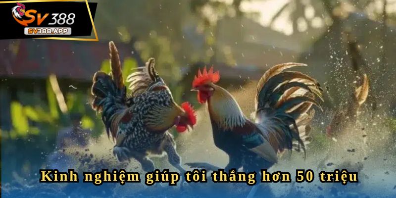 Hoangtuech - Tôi dừng chơi khi thu được hơn 50 triệu 3 Kinh nghiệm giúp tôi thắng lớn