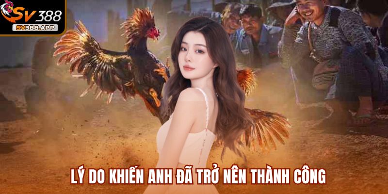 Nguyễn Đình Kính người chơi thắng tiền khi tham gia đá gà tại SV388 3 Lý do khiến anh đã trở nên thành công