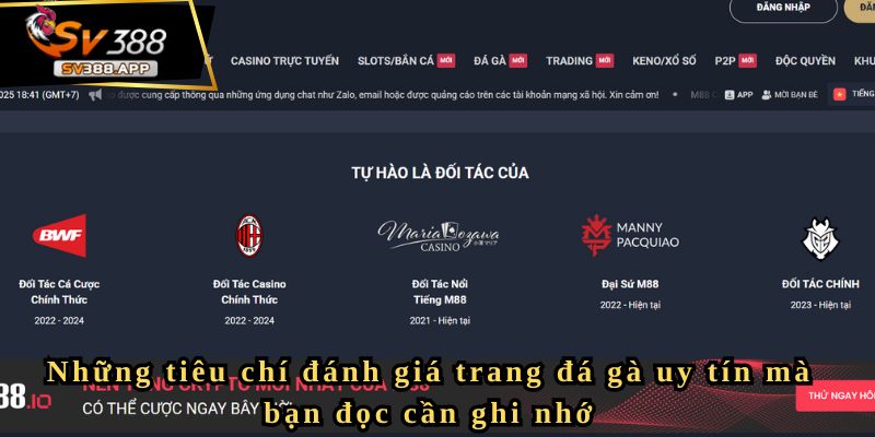 Giới thiệu về các trang đá gà uy tín – Khám phá sân chơi M88 2 Những tiêu chí đánh giá trang đá gà uy tín mà bạn đọc cần ghi nhớ