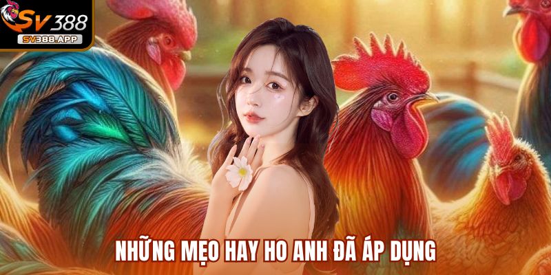 Nguyễn Đình Kính người chơi thắng tiền khi tham gia đá gà tại SV388 4 Những mẹo hay ho anh đã áp dụng