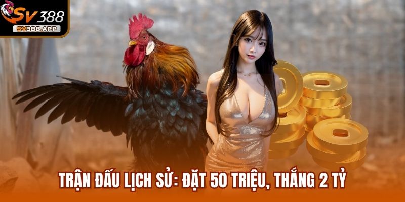 Hoangdaide38 - Chỉ Với 50 Triệu Thu Về 2 Tỷ Sau 1 Đêm 3 Trận đấu lịch sử: Đặt 50 triệu, thắng 2 tỷ