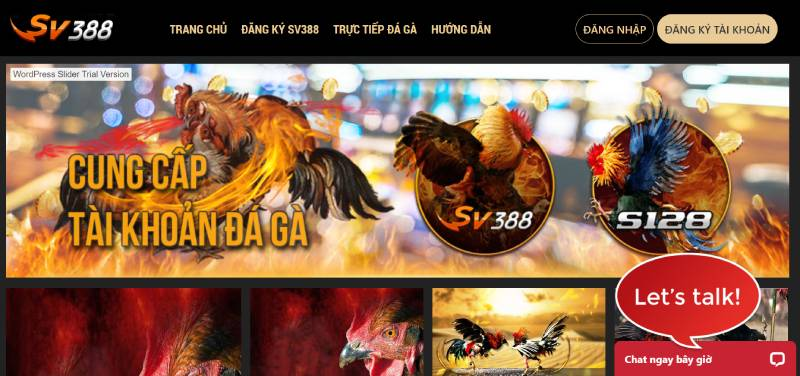 Lí do nhiều người tố SV388 không trả thưởng - Thực hư ra sao? 11 Giao diện sắc nét và bắt mắt của SV388