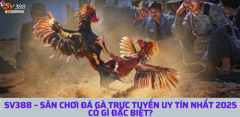 SV388 – Sân chơi đá gà trực tuyến uy tín nhất 2025 có gì đặc biệt 6 sv388 1