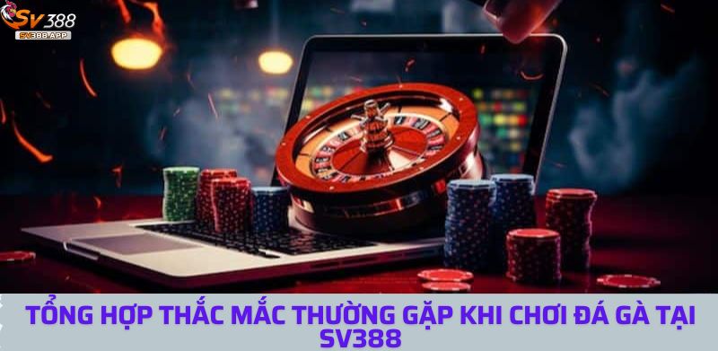 Tổng Hợp Thắc Mắc Thường Gặp Khi Chơi Đá Gà Tại SV388 1 thac mac thuong gap 1